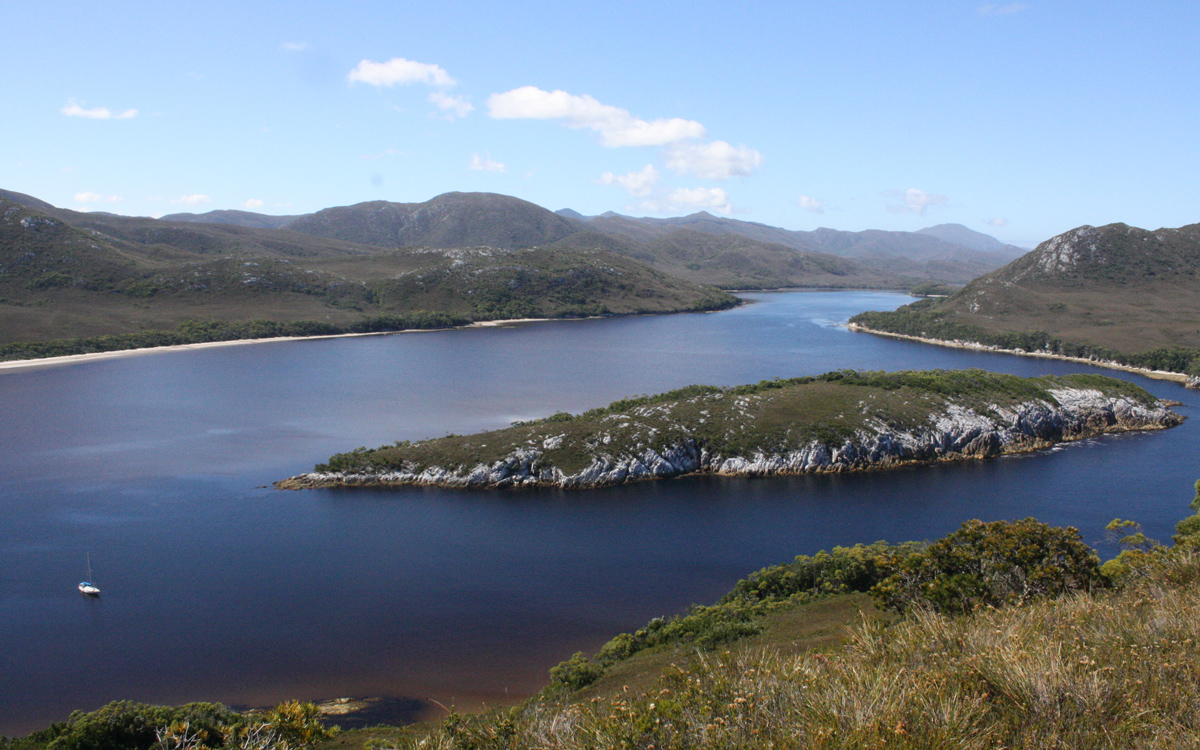 humpback-whale-sailing-encounter-Orca-anchored-tasmania