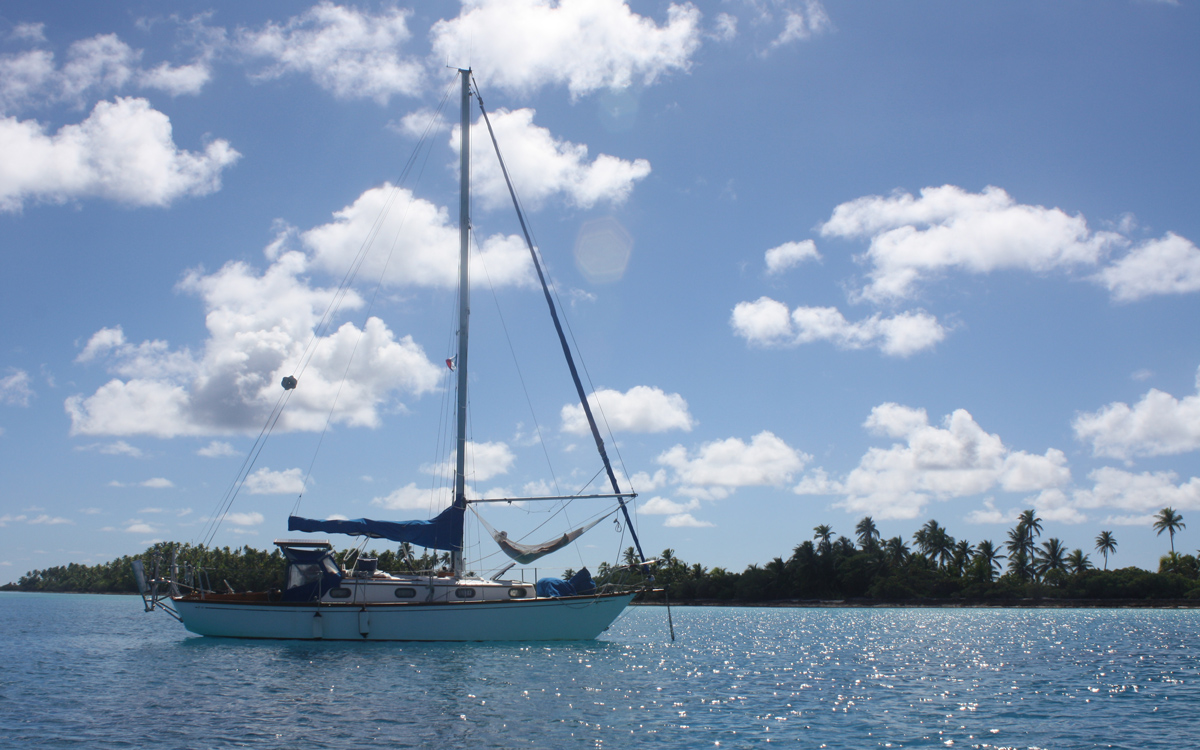 humpback-whale-sailing-encounter-Orca-anchored