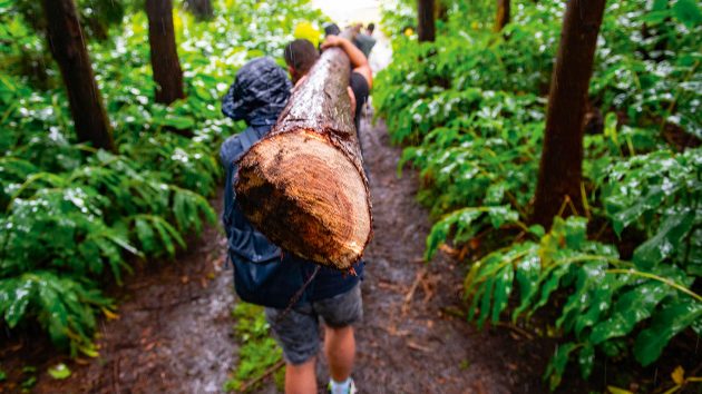 People carrying a log through the forest.