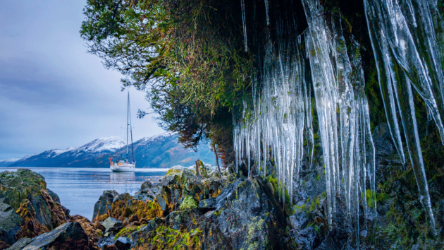 Frozen stalactites hang like a curtain along the shores of Caleta Chorito, Beagle Channel.
